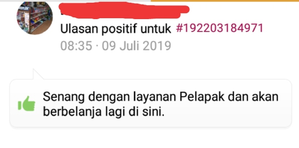 testimoni Puzzle Kayu Untuk Anak